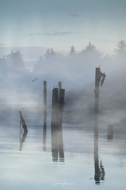 Shadows in the Mist