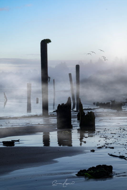 Amanecer en la niebla